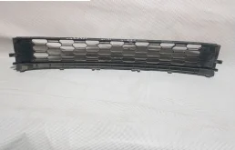 Решетка переднего бампера для Skoda Rapid 2019 года на фотографиях