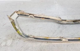 Молдинг решетки радиатора для Skoda Rapid на фотографиях