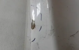 Двери для Hyundai i40 на фотографиях