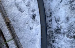 Усилитель заднего бампера для Volvo C30 2012 года на фотографиях