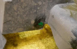 Усилитель бампера передний верхний для Renault Kaptur на фотографиях