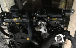 Двигатель для Citroen Berlingo на фотографиях