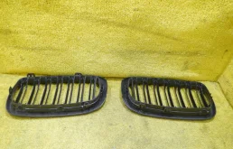 Решетка радиатора левая для BMW X6 на фотографиях