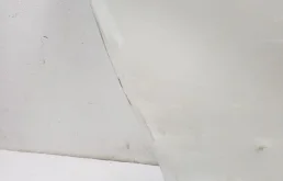 Двери для Toyota Alphard 2021 года на фотографиях