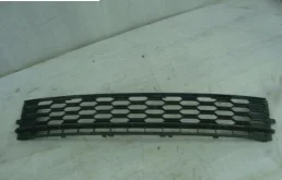 Решетка переднего бампера для Skoda Rapid 2019 года на фотографиях