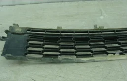 Решетка переднего бампера для Skoda Rapid 2019 года на фотографиях