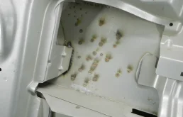 Двери для Volkswagen Touran 2012 года на фотографиях