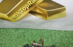 Ограничитель двери задний правый для Volvo XC90 I C 2002-2014