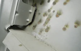 Двери для Volkswagen Touran 2012 года на фотографиях