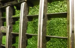 Решетка радиатора для Mercedes-Benz G class 2023 года на фотографиях