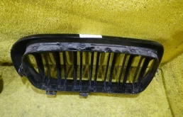 Решетка радиатора левая для BMW X6 на фотографиях