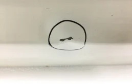 Дверь багажника для Toyota Alphard на фотографиях