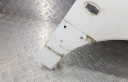 Крыло левое для Citroen Berlingo на фотографиях