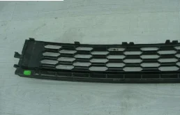 Решетка переднего бампера для Skoda Rapid 2019 года на фотографиях