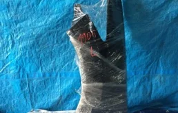 Крыло левое для Honda Accord 2002 года на фотографиях