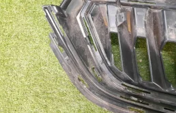 Решетка радиатора для Skoda Rapid 2021 года на фотографиях