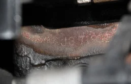 Двигатель без навесного для Kia Carnival 2007 года на фотографиях