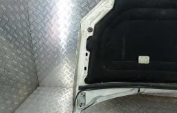 Капот для Citroen Berlingo 2005 года на фотографиях