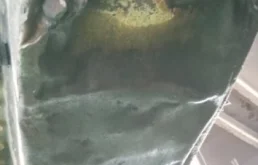 Двигатель без навесного для Kia Carnival 2000 года на фотографиях