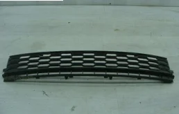 Решетка переднего бампера для Skoda Rapid 2019 года на фотографиях