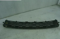 Решетка переднего бампера для Skoda Rapid 2019 года на фотографиях