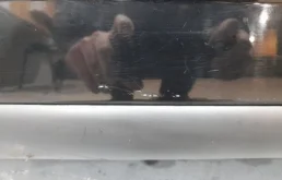 Стекла и зеркала для Peugeot 3008 на фотографиях