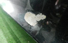 Крышка багажника для Ford Explorer на фотографиях