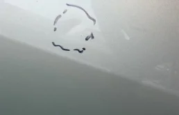 Дверь передняя левая для Toyota Corolla 2001 года на фотографиях